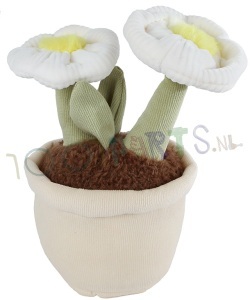 Knuffel Woestijnplant met witte pot