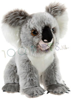 Koala Beer 28 cm
