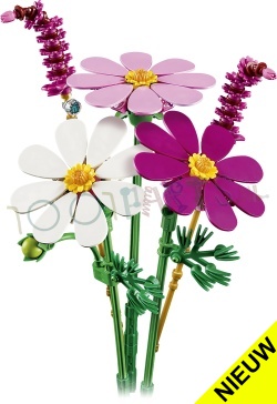 LEGO Botanicals Cosmeabloemen