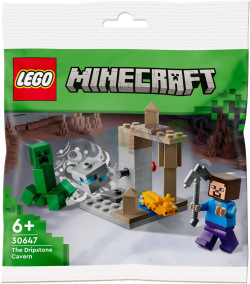 LEGO Minecaft De DruipsteenGrot