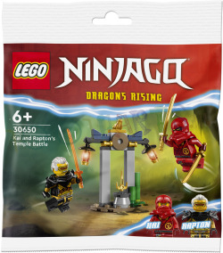 Ninjago Tempelstrijd van Kai en Rapton
