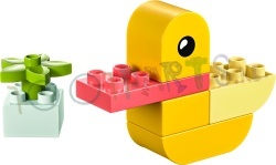 LEGO Duplo mijn eerste Eend 7 delig