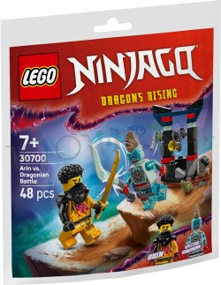NINJAGO Arin vs. Draconiër (PolyBag)