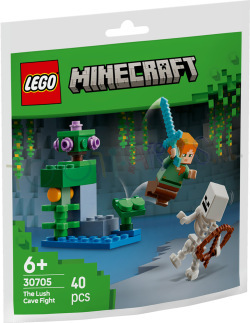 Minecraft Duel bij de weelderige Grot