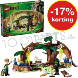 LEGO Wicked Elphaba's Schuilhut