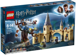 HARRY POTTER DE ZWEINSTEIN BEUKWILG