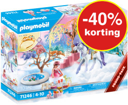 PLAYMOBIL Picknick met PegasusKoets